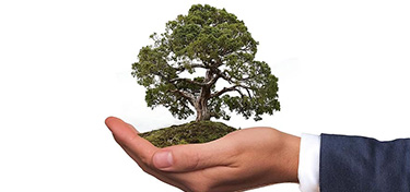 healthy environment healthy environment