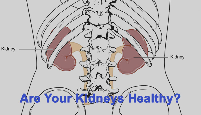 Understanding Kidney Failure