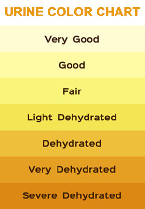 Way Too Dehydrated